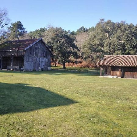 Le Petit Frouas Sud Lägenhet Vielle-Saint-Girons Exteriör bild