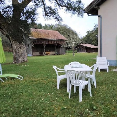 Le Petit Frouas Sud Lägenhet Vielle-Saint-Girons Exteriör bild