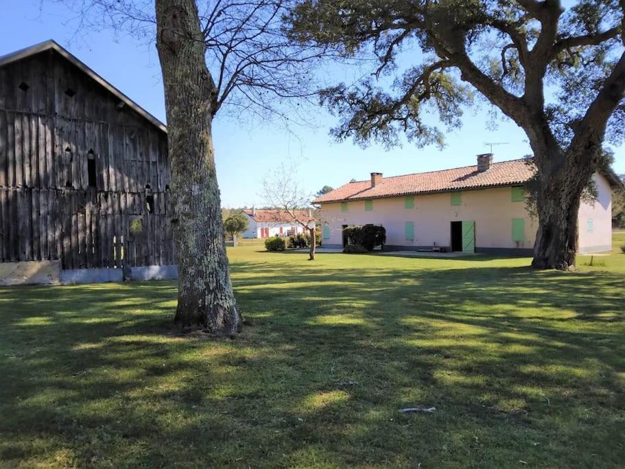 Le Petit Frouas Sud Lägenhet Vielle-Saint-Girons Exteriör bild