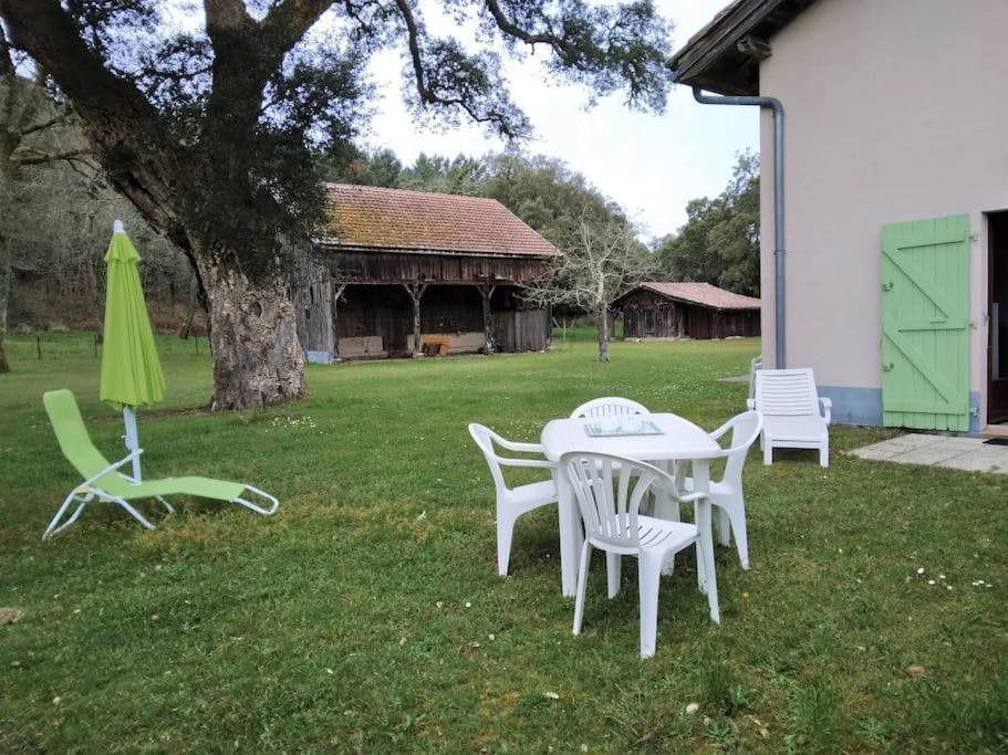 Le Petit Frouas Sud Lägenhet Vielle-Saint-Girons Exteriör bild